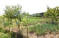 Tirane For Sale Land  Tirana-Durres Highway, secondary road. Industrial Land Building Plot